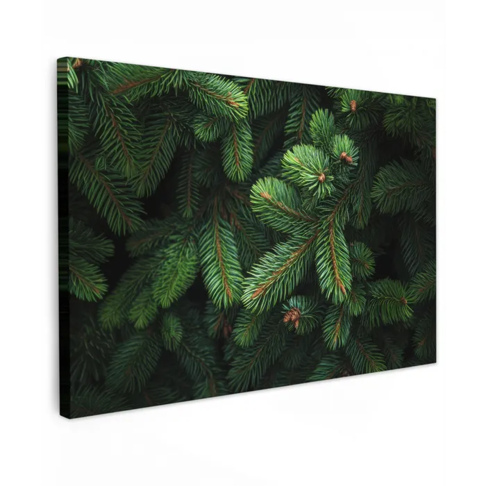 Sparrentakken - Knoppen - Naalden - Groen canvas 2cm klein -z3d