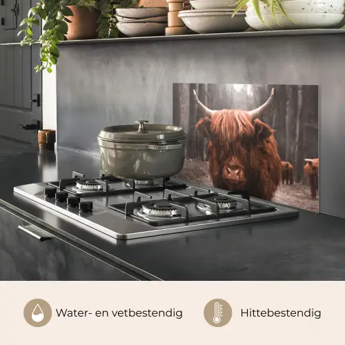 Schotse hooglander - Bos - Koe - Dieren - Natuur keuken achterwand spatscherm klein -usp_NL