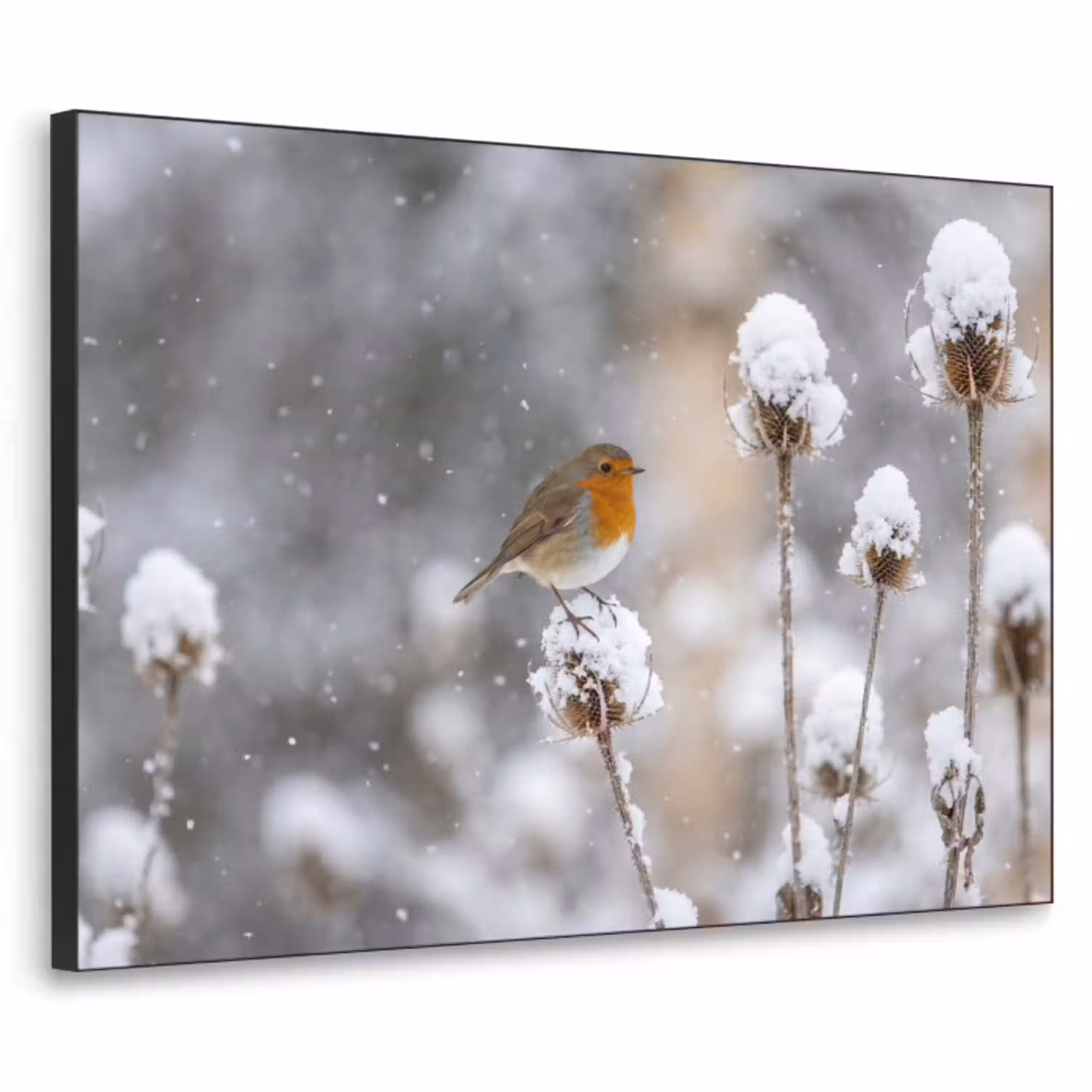 Roodborstje - Gedroogde bloem - Sneeuw - Winter - Vertederend Textielframe zwart klein -3d