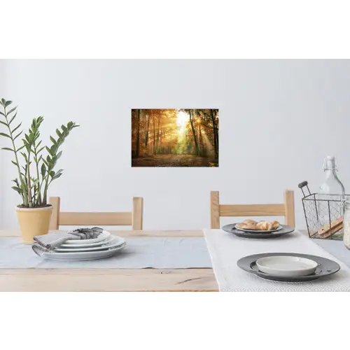 Bos - Herfst - Zon - Landschap - Natuur - Oranje Muursticker klein -eettafel
