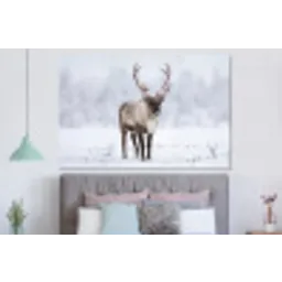 Rendier - Gewei - Toendra - Sneeuw - Wild forex 5mm xxl -slaapkamer