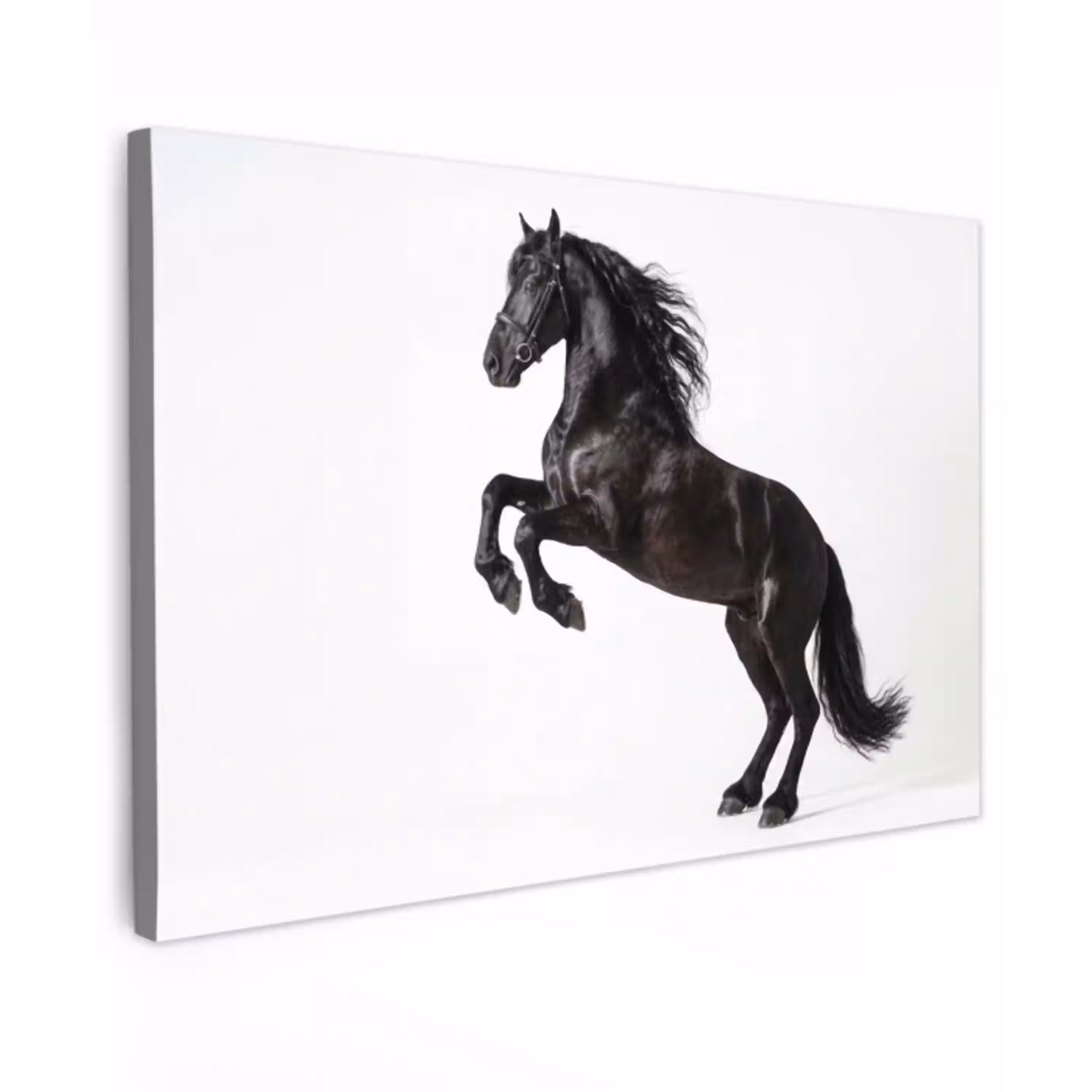 Zwart - Paard - Portret canvas 2cm klein -z3d
