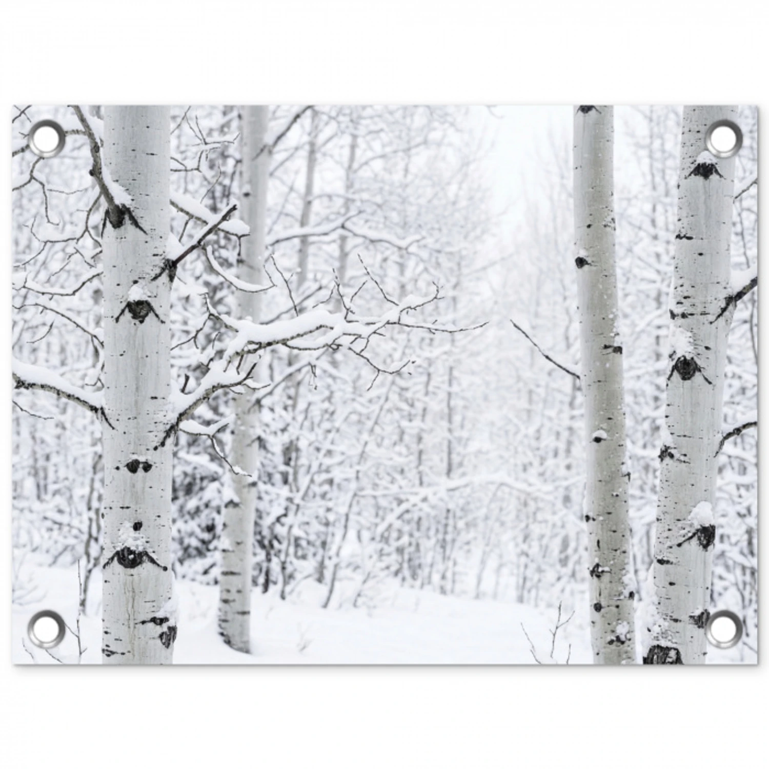 Berkenbomen - Sneeuw - Winter - Bos - Wit tuinposter los doek klein -3d