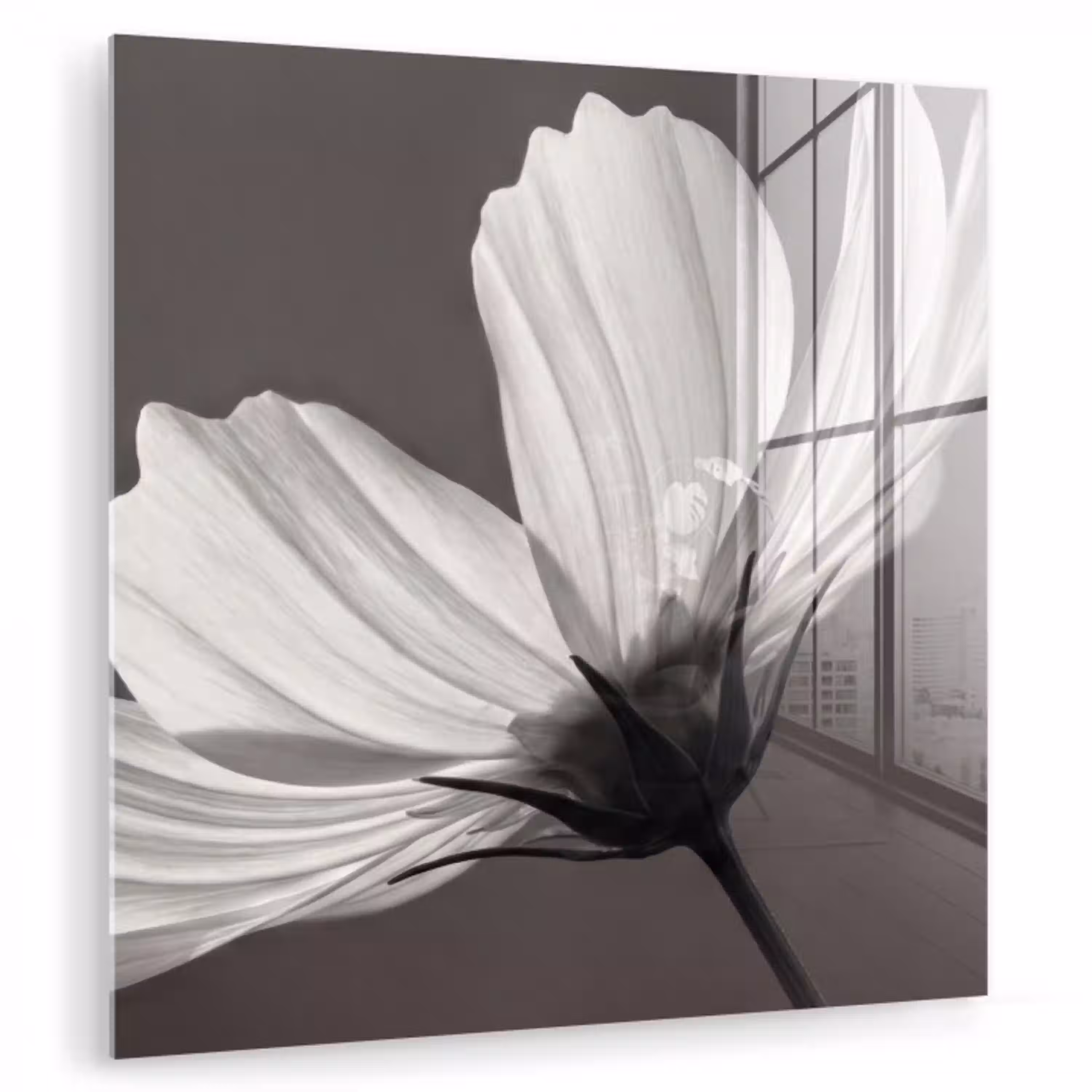 Bloem - Minimalistisch - Zwart - Wit plexiglas 5mm klein -zzzproduct_nieuw