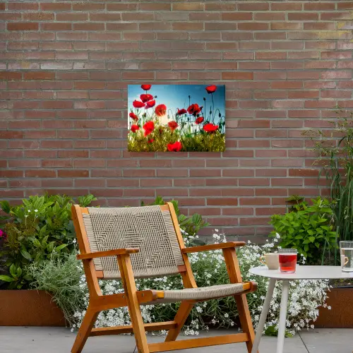 Klaprozen - Toscane - Zon - Rood - Blauw Tuinposter op houten frame 2 cm dik klein -sfeer3