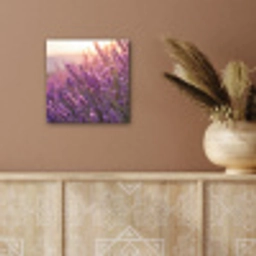 Lavendel - Paars - Zonlicht aluminium wit klein -sfeer4