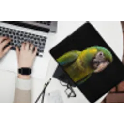 Ara - Portret - Groen laptophoes neopreen klein -bureau