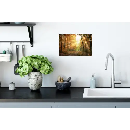 Bos - Herfst - Zon - Landschap - Natuur - Bomen - Bladeren Muursticker klein -keuken