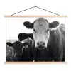 Koeien - Zwart - Wit textielposter latten blank klein -3d