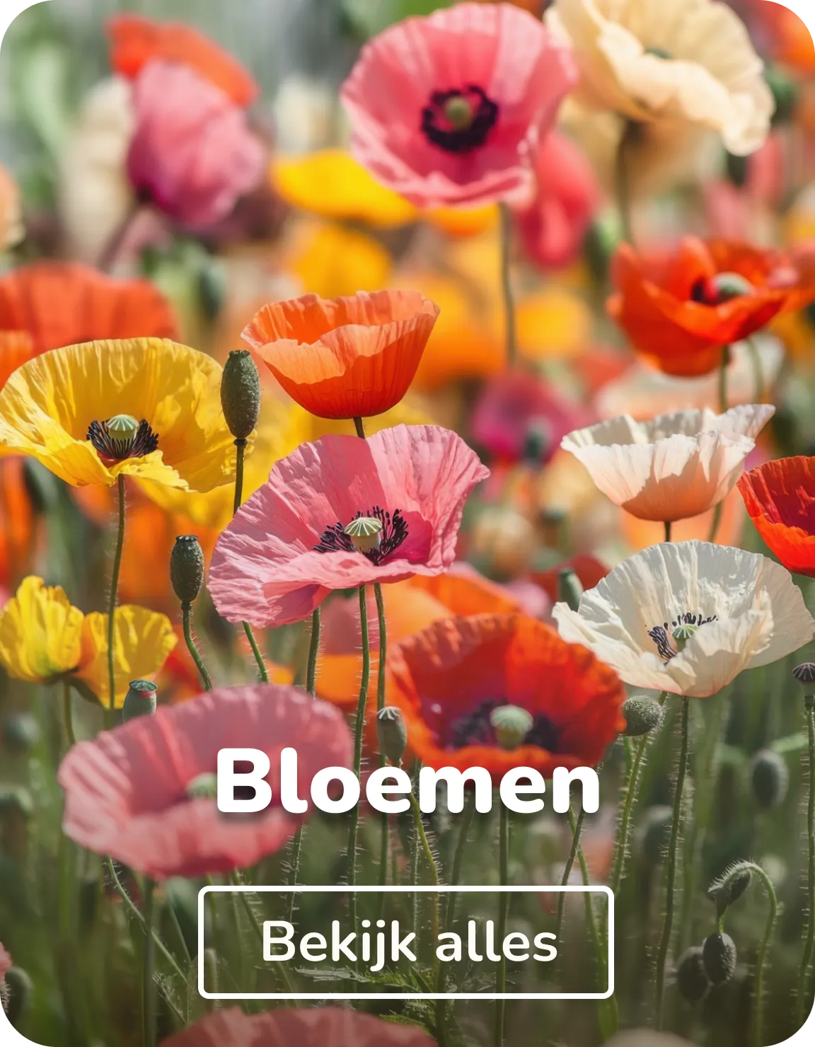 Aluminium bloemen
