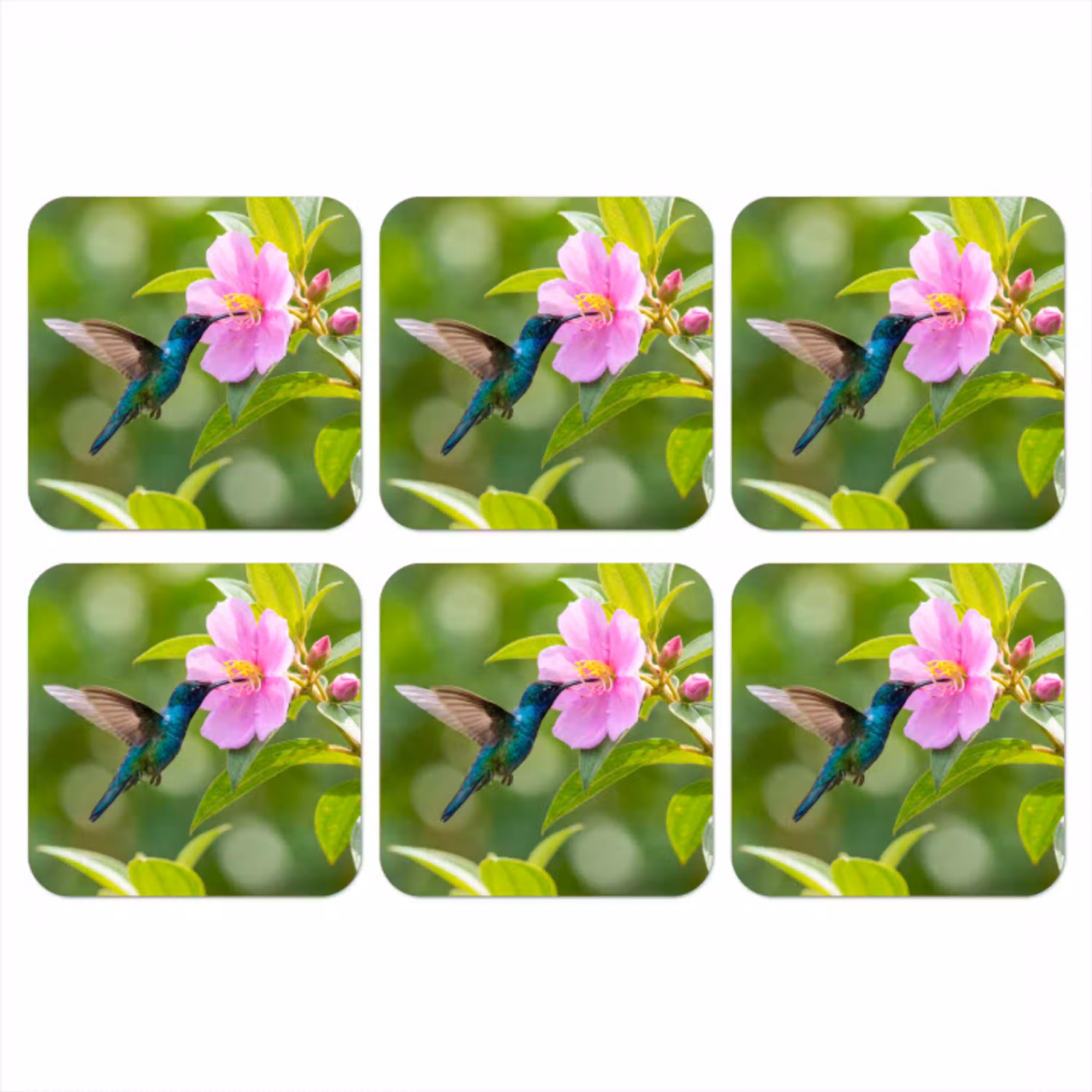 Kolibrie - Bloem - Natuur - Groen onderzetter kurk middel -3d