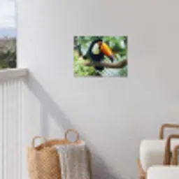 Toekan - Vogel - Jungle tuinposter los doek klein -sfeer8