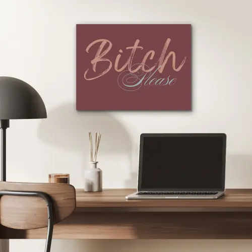 Bitch please - Rood - Blauw PET vilt klein -sfeer5