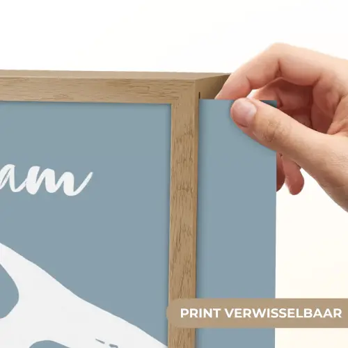 Dino - Pteranodon - Dinosaurus - Blauw Light Box met batterij (Wandlamp kind) middel -USP_websiteprintNL