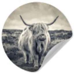 Schotse hooglander - Dieren - Wolken - Koe - Natuur Wandcirkel behangsticker klein -3d