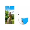 Uil - Boomstronk - Bos - Lucht fotobehang vinyl groot -3d