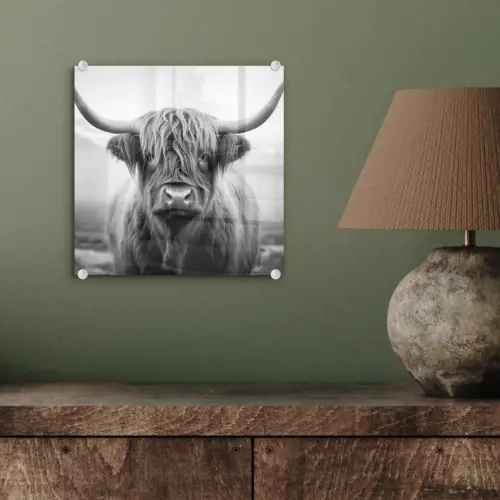 Schotse hooglander - Mist - Zwart - Wit plexiglas 5mm klein -sfeer3