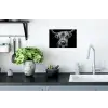 Schotse Hooglander - Horens - Zwart - Wit - Koe - Wild - Dieren Muursticker klein -keuken