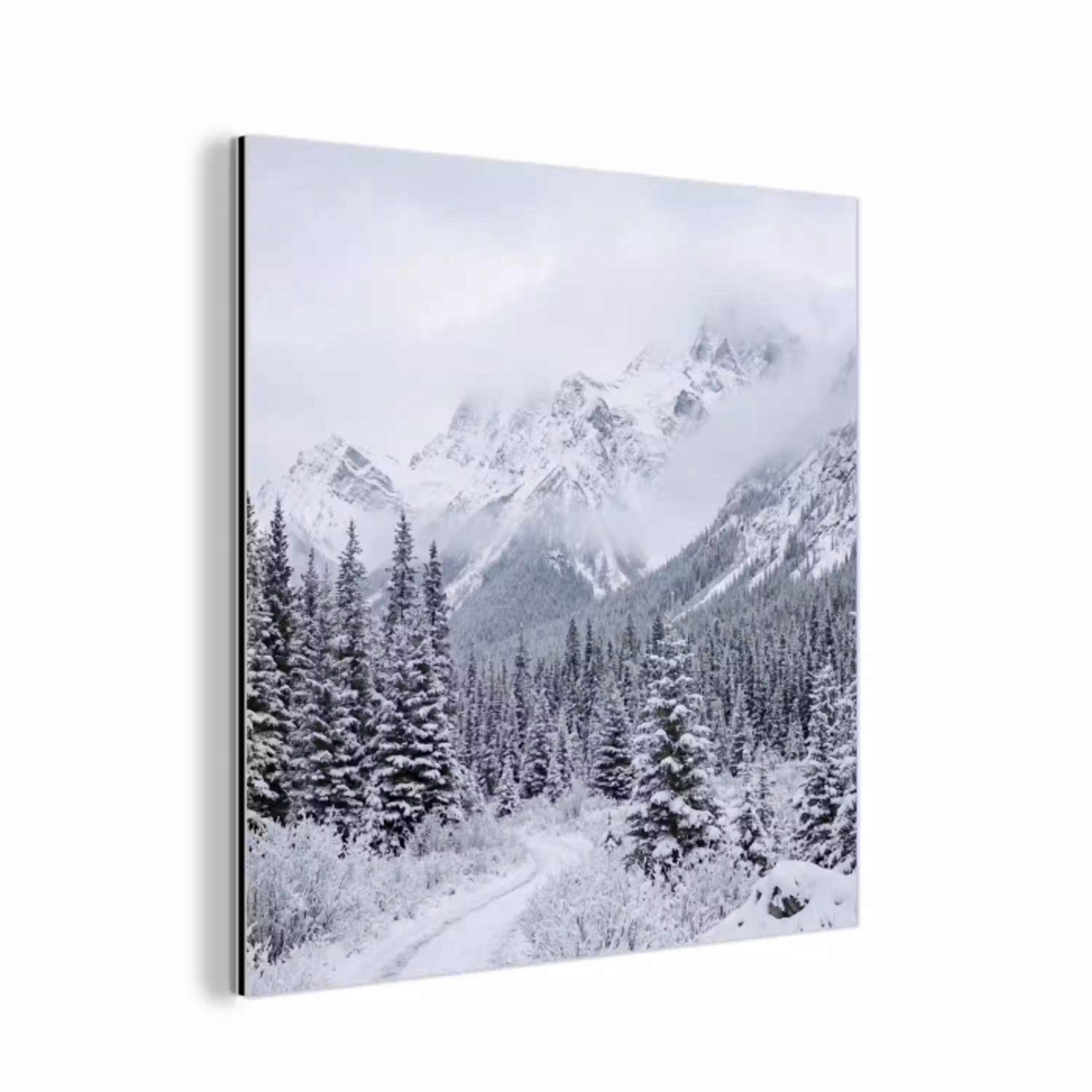 Weg - Bergen - Sneeuw - Naaldbos - Avontuurlijk aluminium wit klein -3d