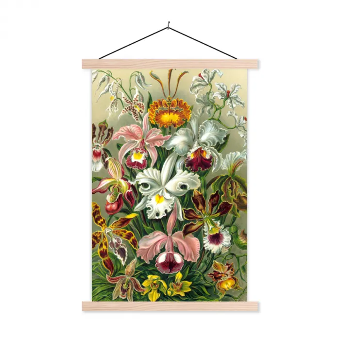 Planten - Natuur - Bloemen - Ernst Haeckel textielposter latten blank klein -3d