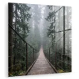 Brug - Bos - Mist - Natuur plexiglas 5mm klein -zzzproduct_nieuw