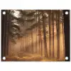 Bos - Mist - Zonlicht tuinposter los doek klein -3d