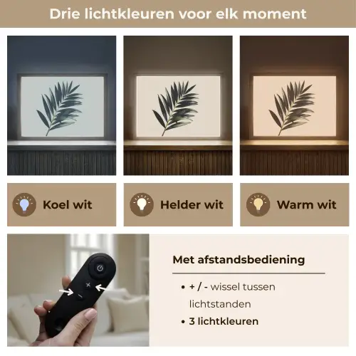 Palmblad - Subtiel - Groen - beige Light Box met batterij (Wandlamp) middel -USP_lichtkleurNL