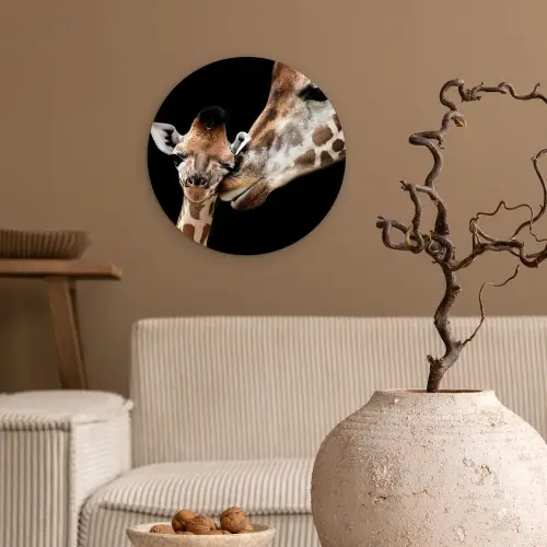 Giraffe - Dieren - Zwart - Portret - Dieren Wandcirkel kunststof plaat 5mm dik klein -sfeer1