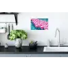 Strandballen - Roze - Water Muursticker klein -keuken