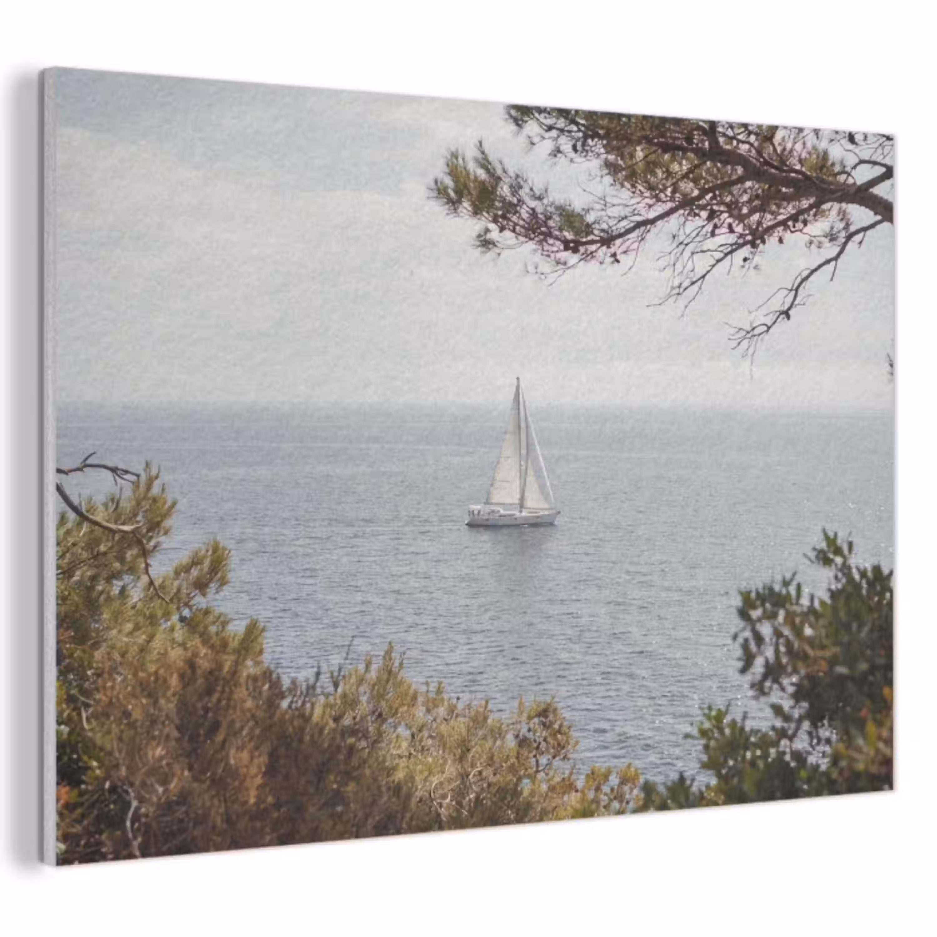 Zeilboot - bomen - water PET vilt klein -3d