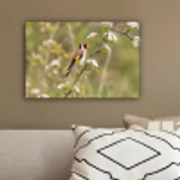 Putter - Bloesem - Lente - Natuur - Kleurrijk canvas 2cm klein -sfeer3