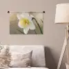 Narcis - Bloem - Minimalistisch Wandkleed katoen klein -sfeer4