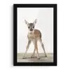 Hert - Baby hert - Dieren - Meisjes - Jongens - Kinderen fotolijst zwart zonder passe partout klein -3d