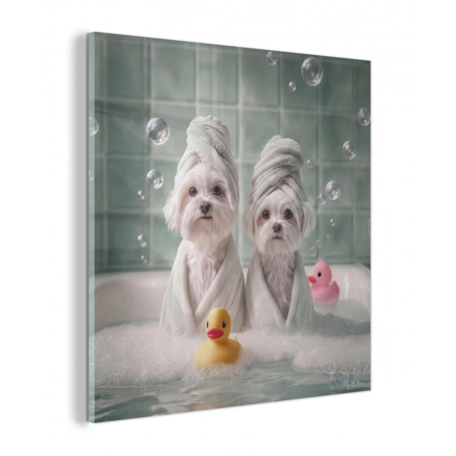 Hondjes - Badkuip - Badeendjes - Handdoeken plexiglas 5mm klein -z3d