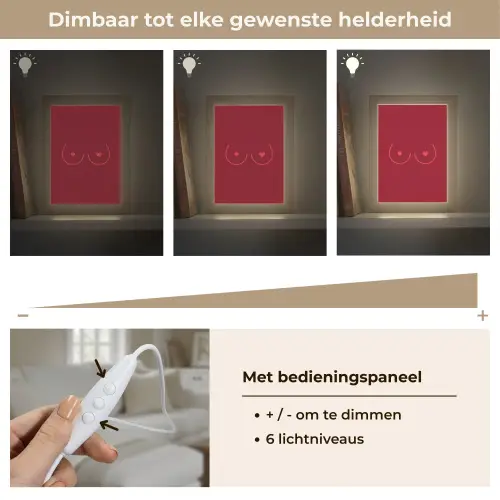 Minimalistisch - Lijnillustratie - Rood Light Box met kabel (Tafellamp) klein -USP_dimbaarNL