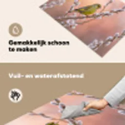 Groenling - Katjes - Lente - Natuur - Zacht Inductie beschemer met haakjes klein -ky-schoon-nl