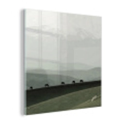 Grijs - Berg - Paarden plexiglas 5mm klein -z3d