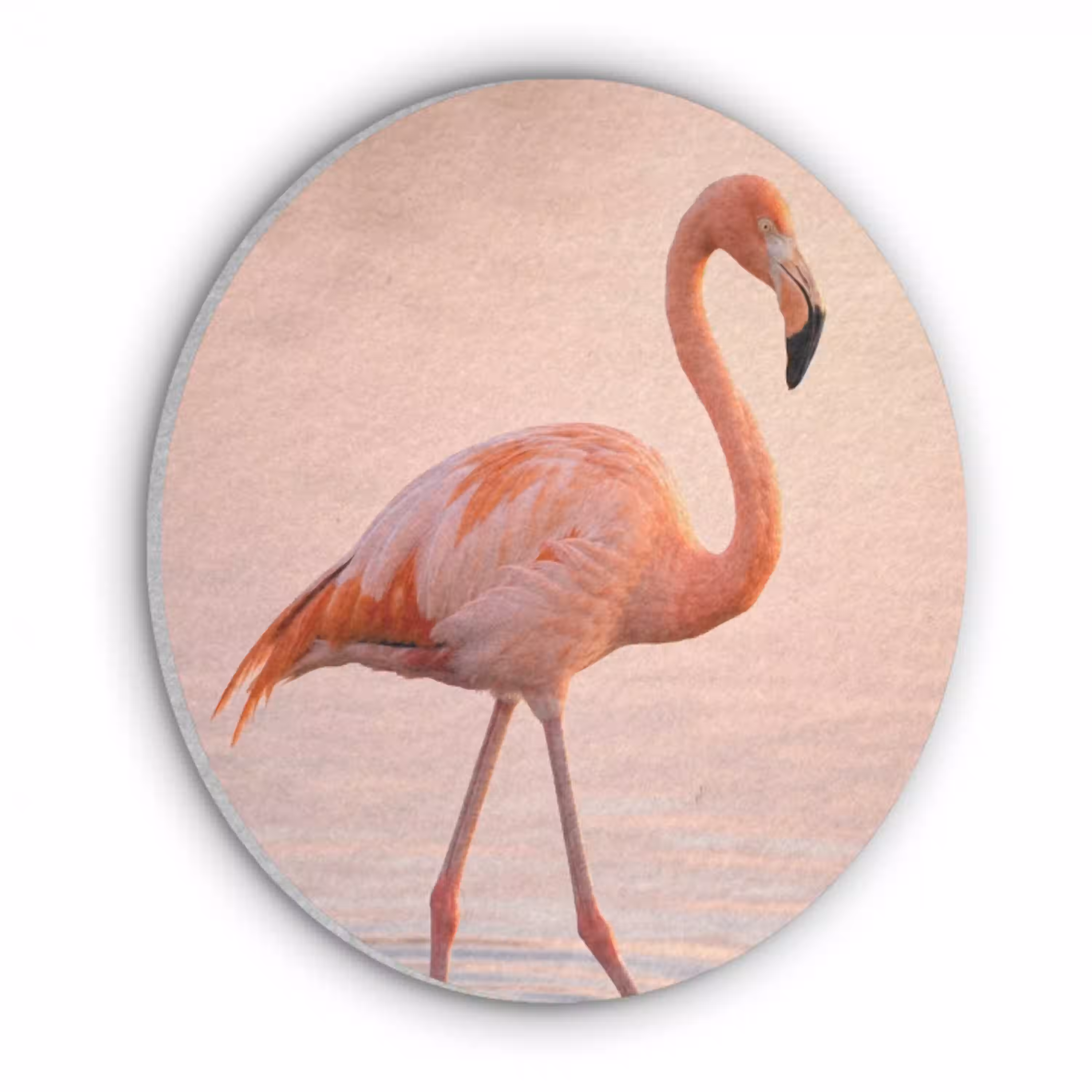 Flamingo - Water - Roze Akoestische PET Vilt - Rond klein -3d