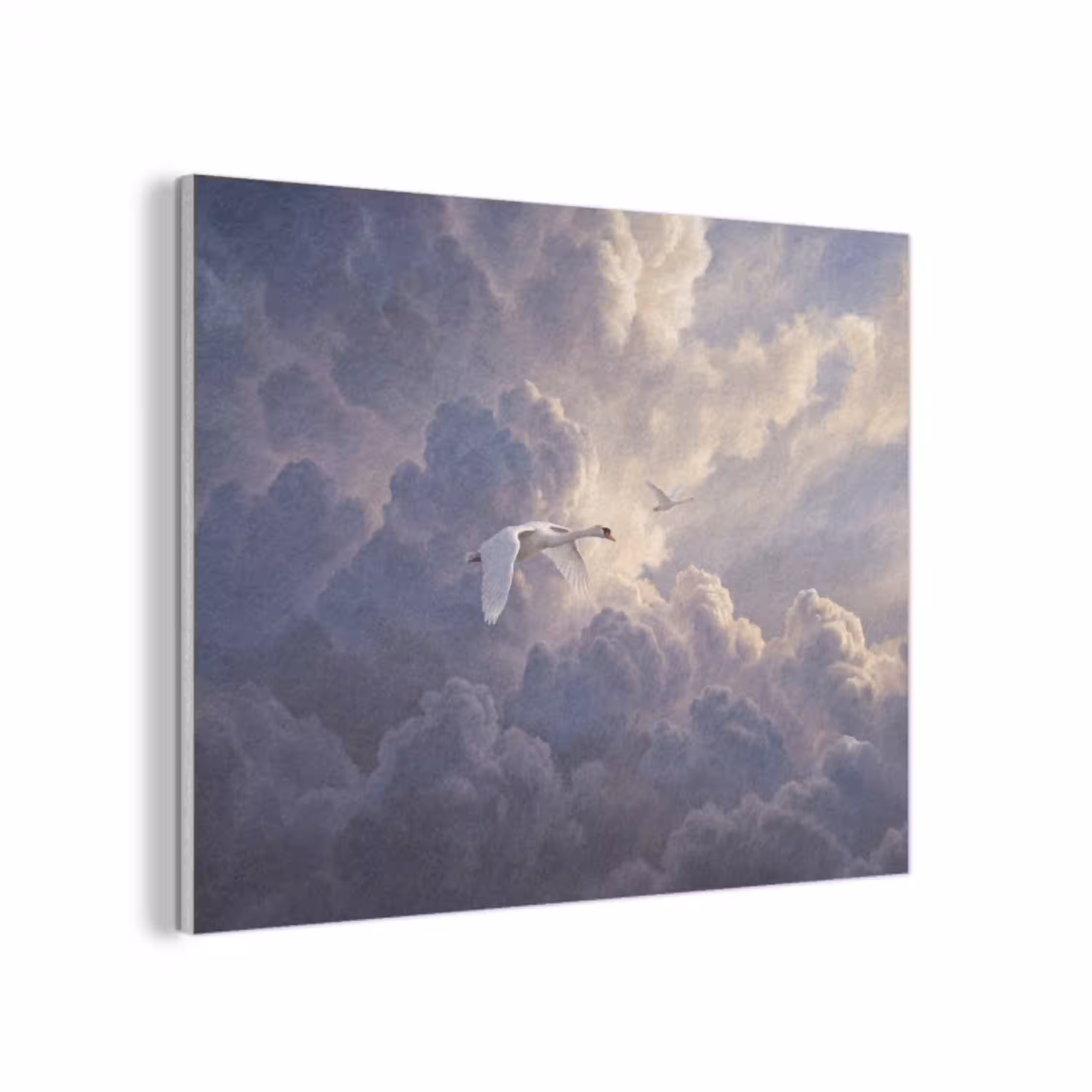 Vogel - Vliegend - Natuur - Wit - Wolken PET vilt klein -3d