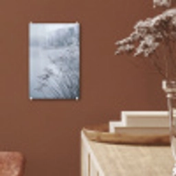 Riet - Bevroren - Winter - Natuur plexiglas 5mm klein -sfeer5