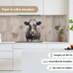 Koe - Portret - Dieren - Modern keuken achterwand 2 middel -sfeer4_NL