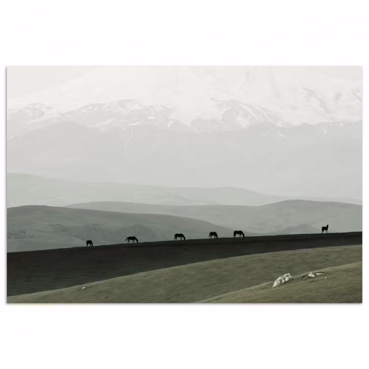 Poster - Grau - Berg - Pferde