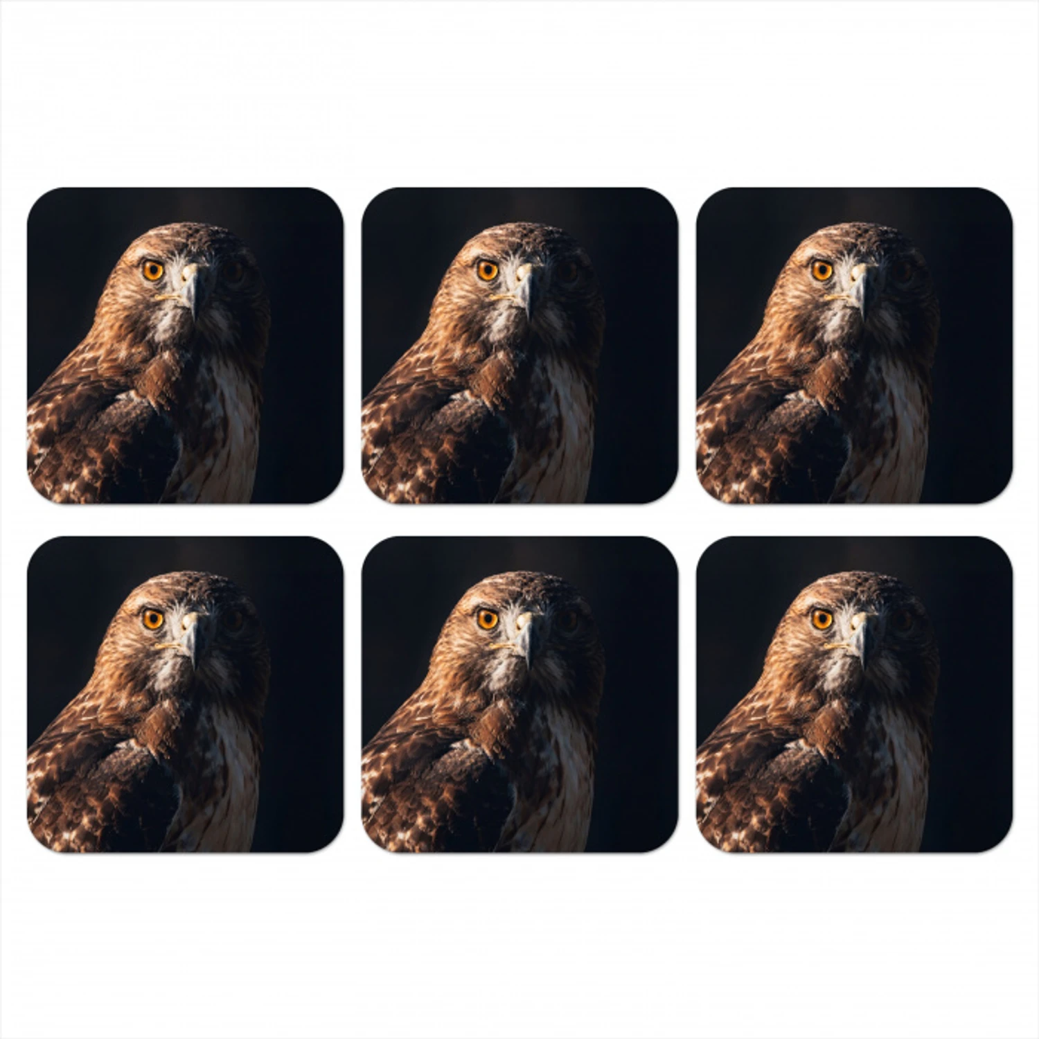 Roofvogel - Buizerd - Bruin onderzetter kurk middel -3d