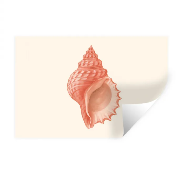 Schelp - Roze - Structuur Muursticker klein -3d
