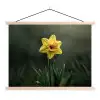 Bloem - Narcis - Gras - Geel textielposter latten blank klein -3d