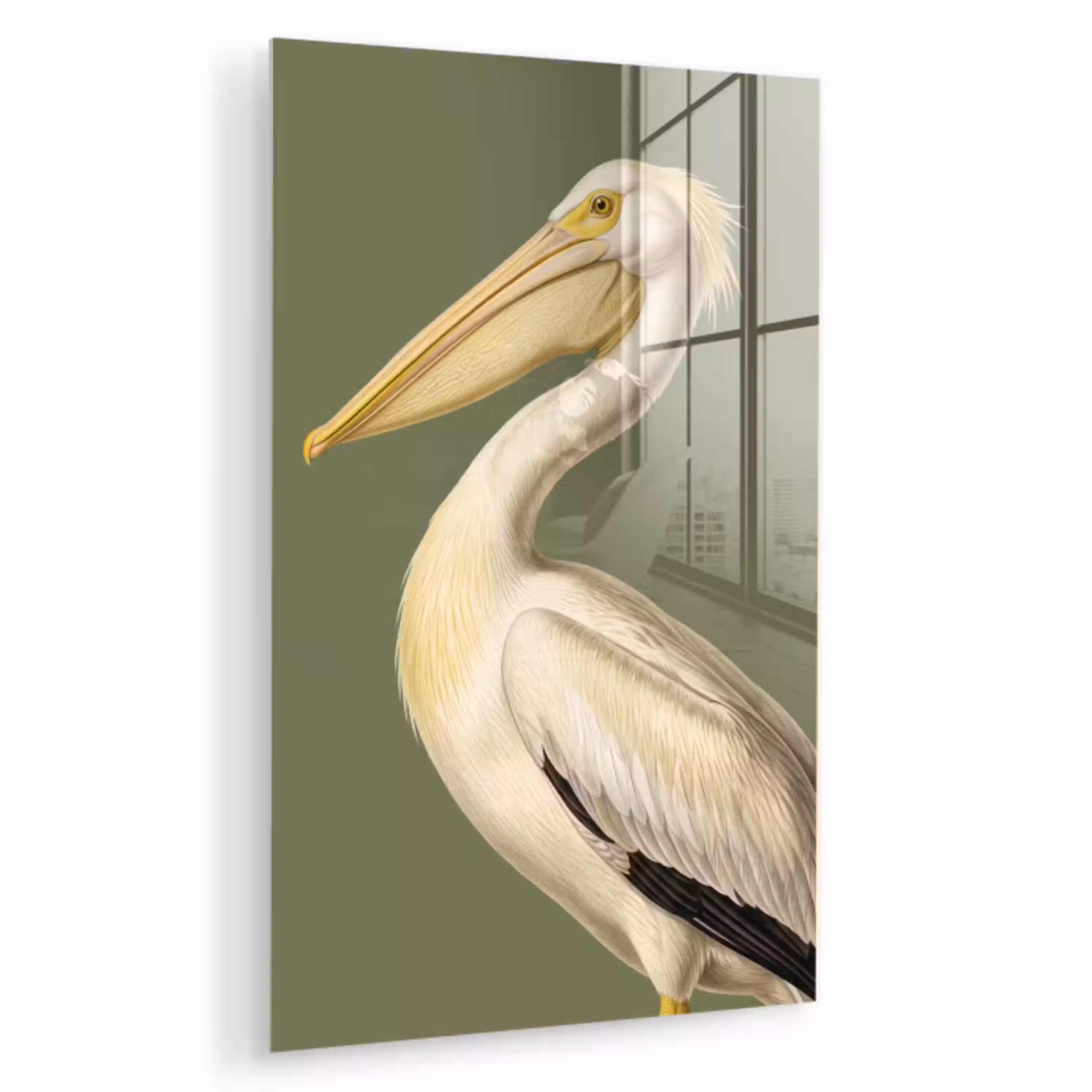 Pelikaan - Wit - Vogel - Klassiek - Natuur plexiglas 5mm klein -zzzproduct_nieuw