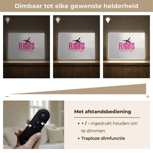 Catch flights not feelings - Vliegtuig - Roze Light Box met batterij (Wandlamp) middel -USP_dimbaarNL