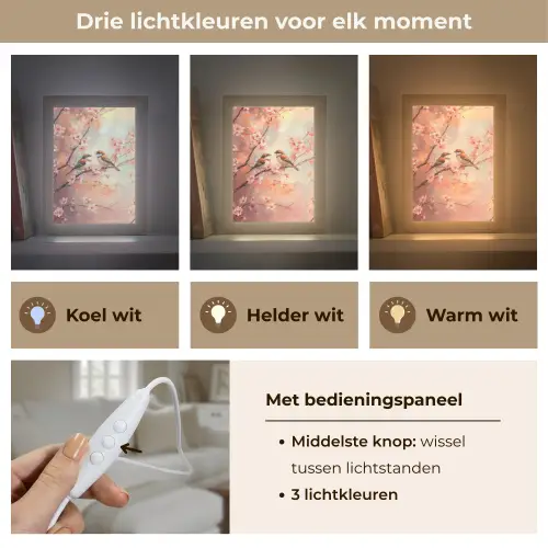 Vogels - Romantic - Bloesemtak Light Box met kabel (Tafellamp) klein -USP_lichtkleurNL