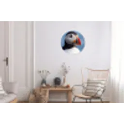 Papegaaiduiker - Portret - Natuur Wandcirkel aluminium klein -woonkamer