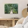 Jungle - Palmboom - Brug - Natuur - Planten PET vilt klein -sfeer3